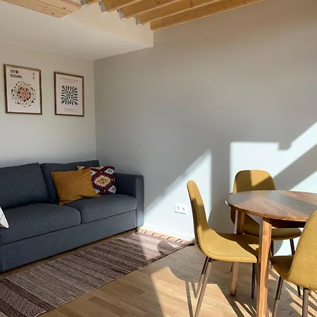 Cozy Loft Apartment