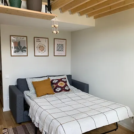 Cozy Loft Daire *