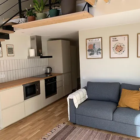Cozy Loft Apartment *