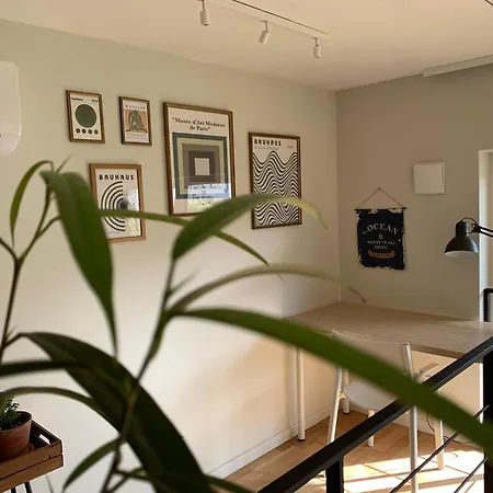 Cozy Loft Apartment