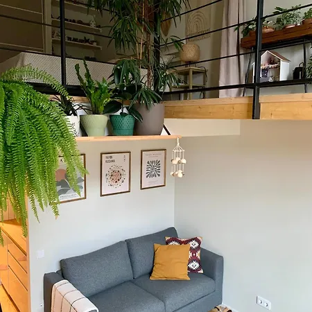 Cozy Loft