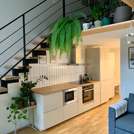 Cozy Loft Apartment