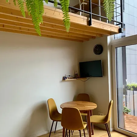Apartment Cozy Loft