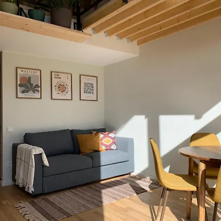 公寓 Cozy Loft 维尔纽斯