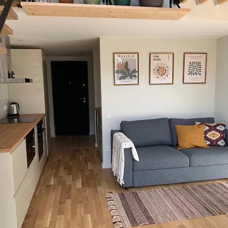 Cozy Loft * 维尔纽斯