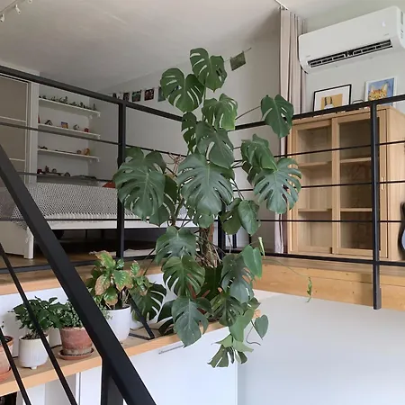 Cozy Loft * 维尔纽斯