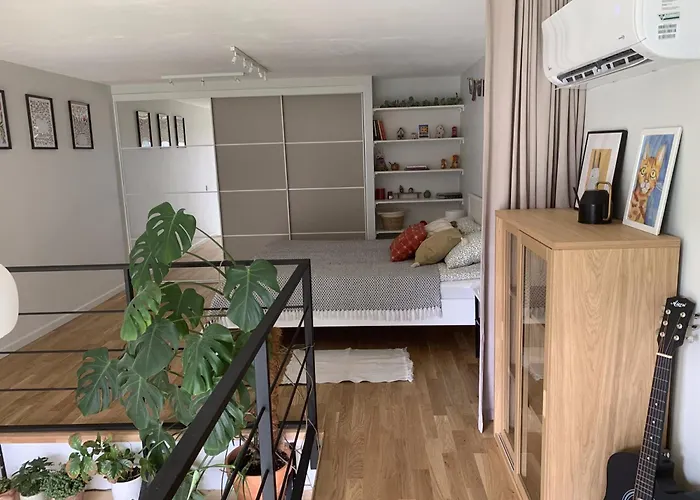 Cozy Loft Apartment Wilna